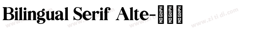 Bilingual Serif Alte字体转换 Bilingual Serif Alte字体转换